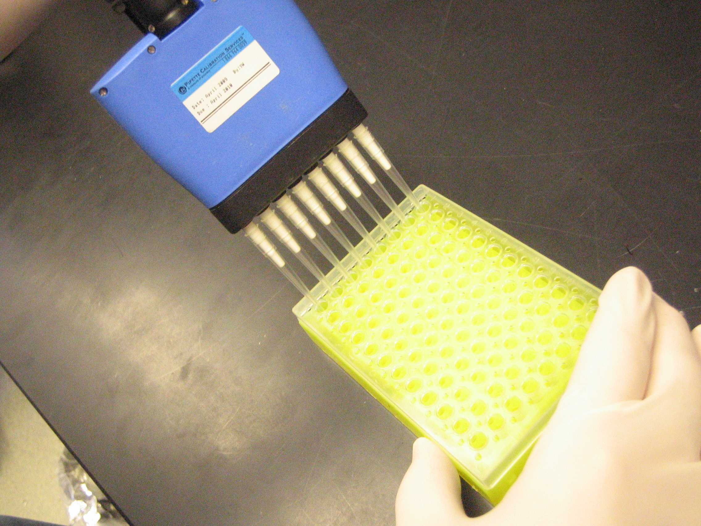 arraying samples