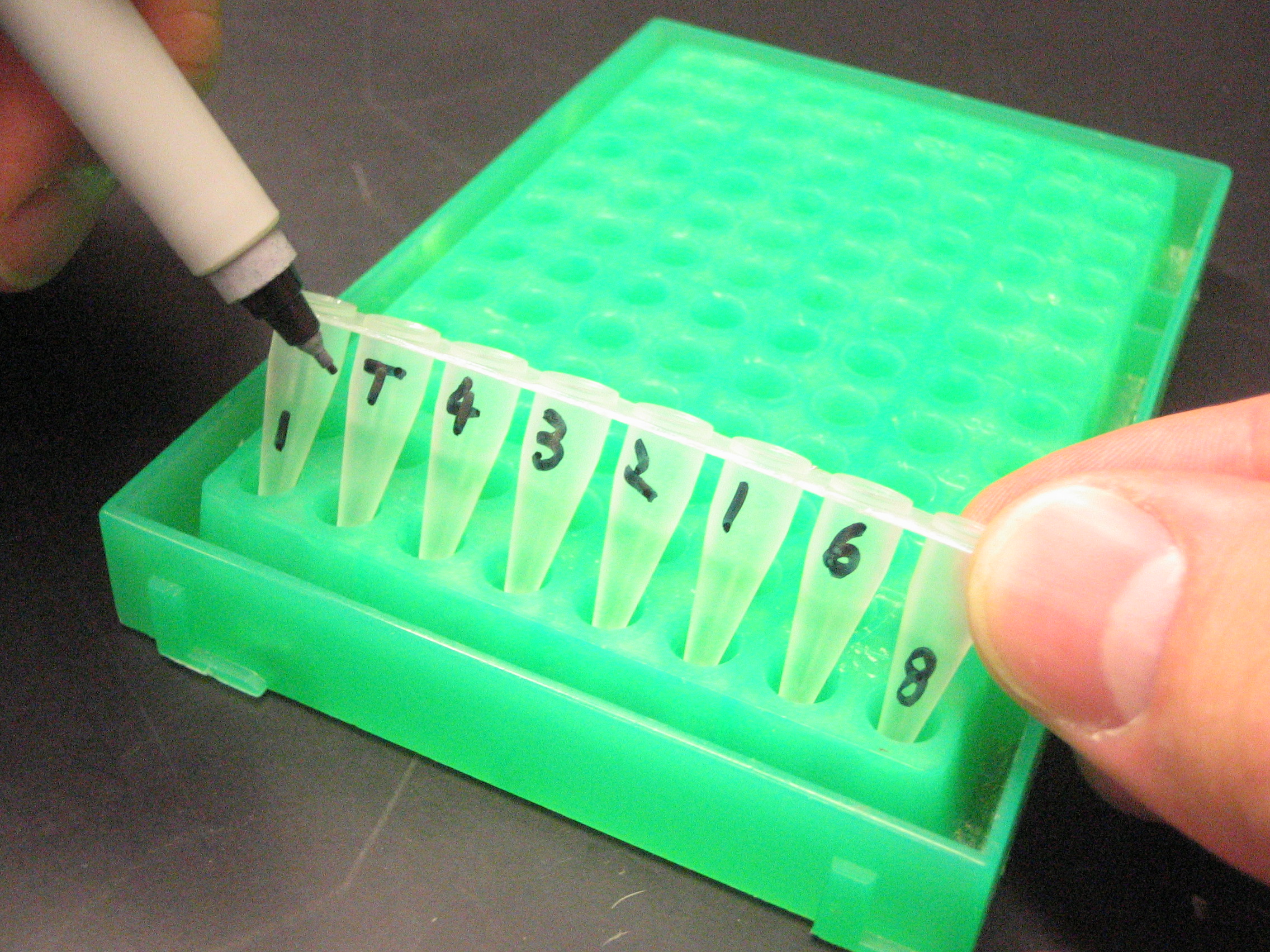 labelling samples with order number and marking which the first sample is