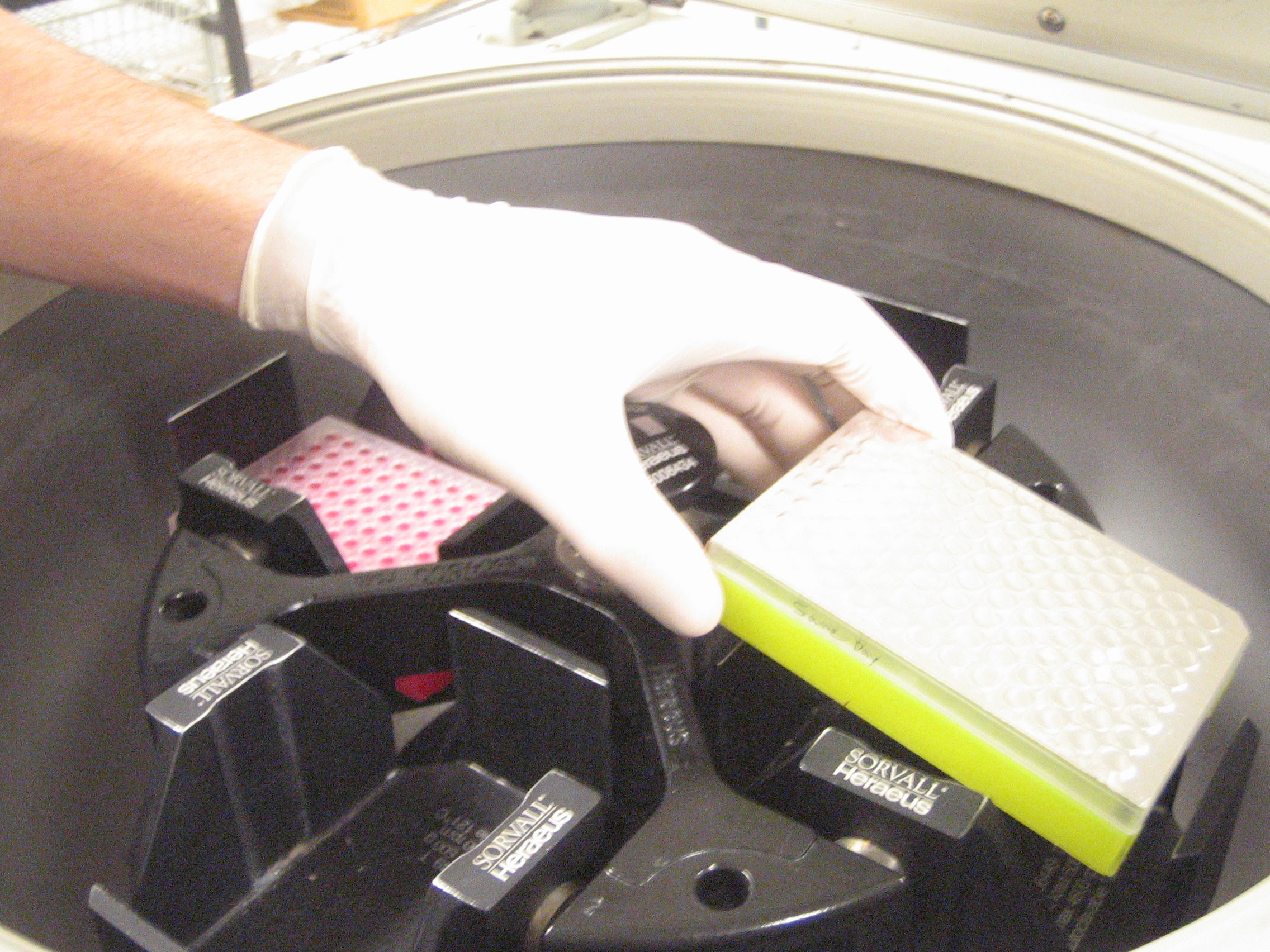 centrifuge sample plate